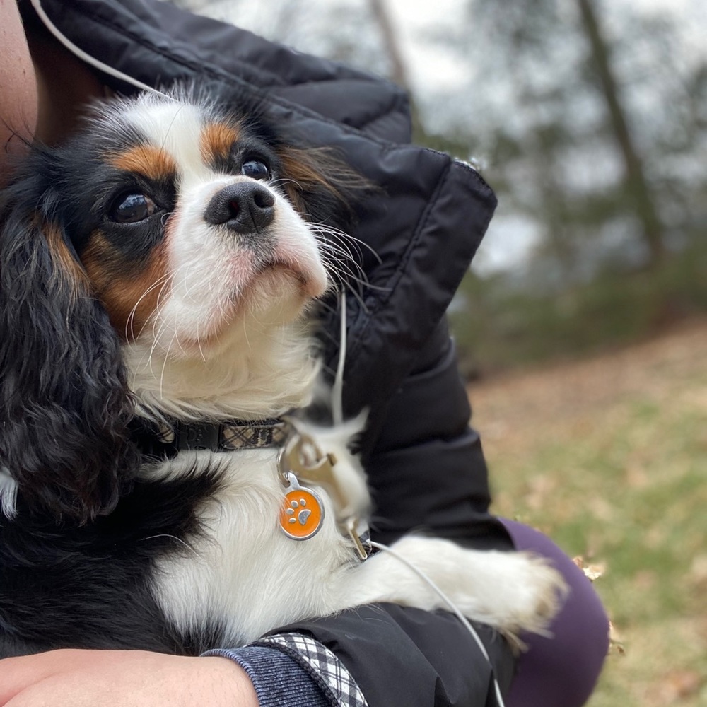 Meet your Posher, Raija